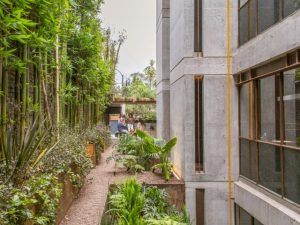 Armando Iachini - Casa Erasto, un ejemplo de arquitectura urbana y sustentable en Ciudad de México